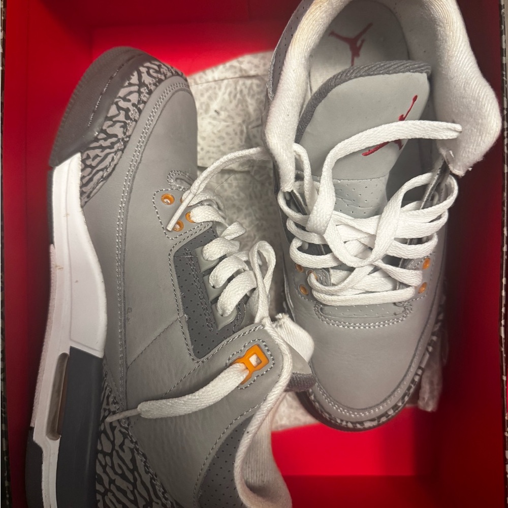 Air Jordan cool grey 3s